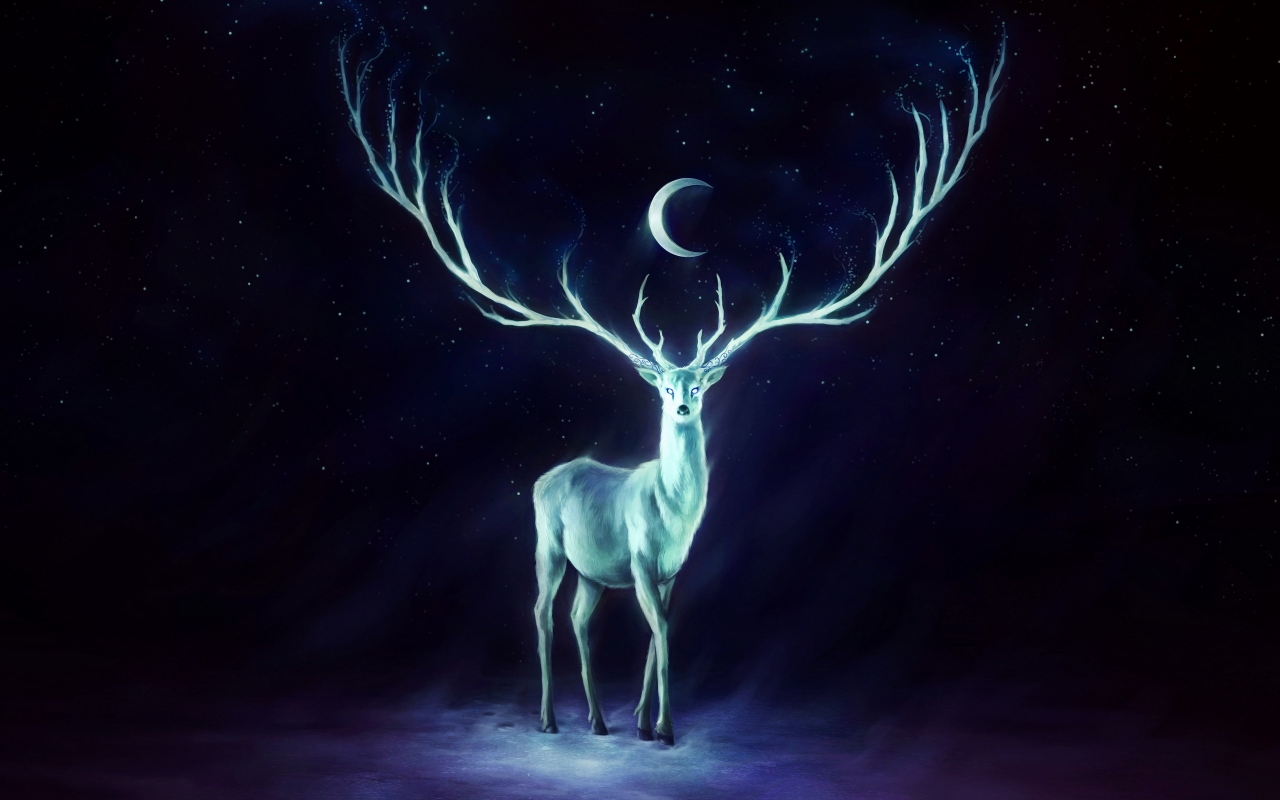 White Deer for 1280 x 800 widescreen resolution