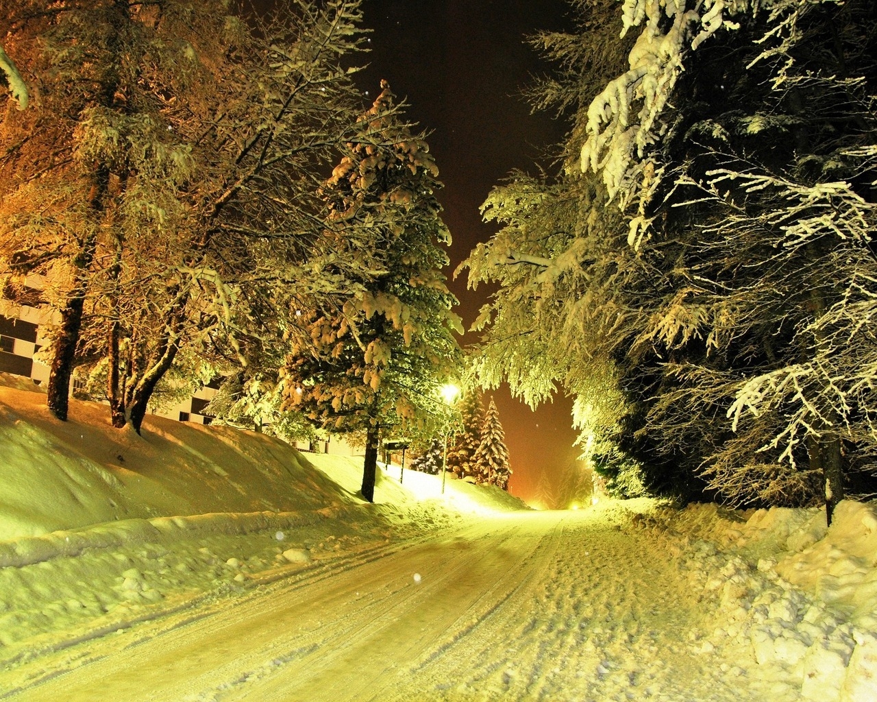 Winter Night for 1280 x 1024 resolution