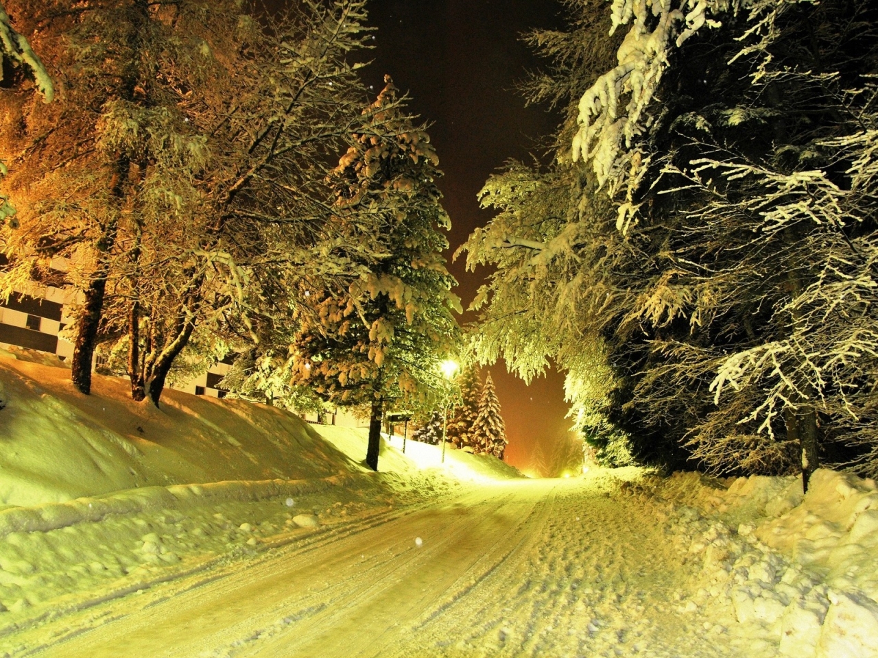 Winter Night for 1280 x 960 resolution