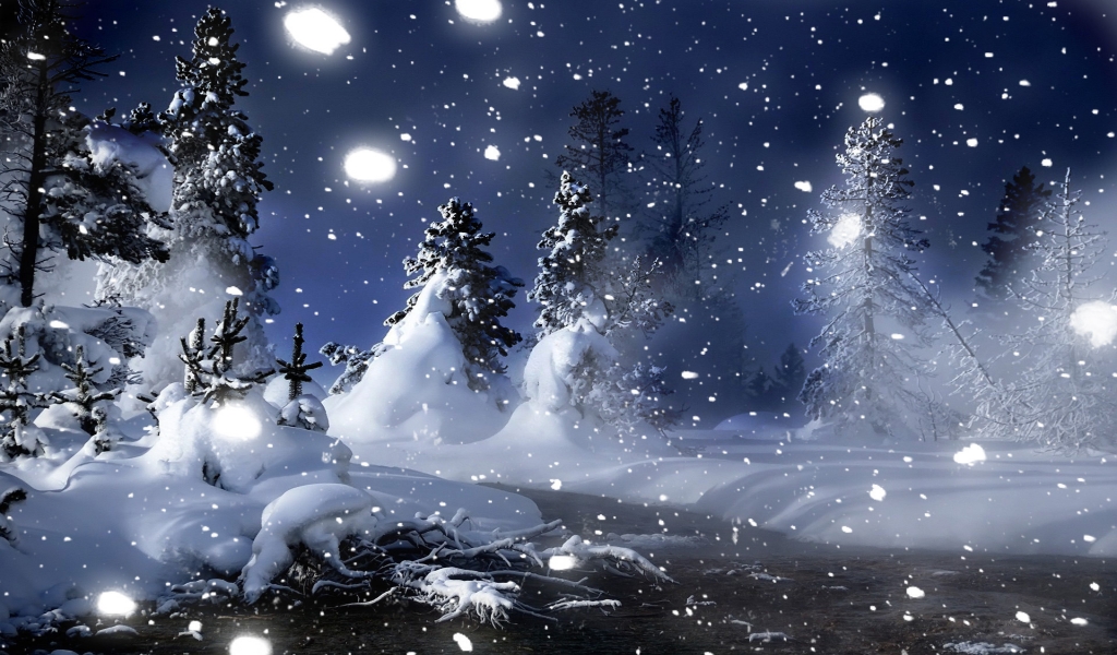 Winter Night in Park for 1024 x 600 widescreen resolution
