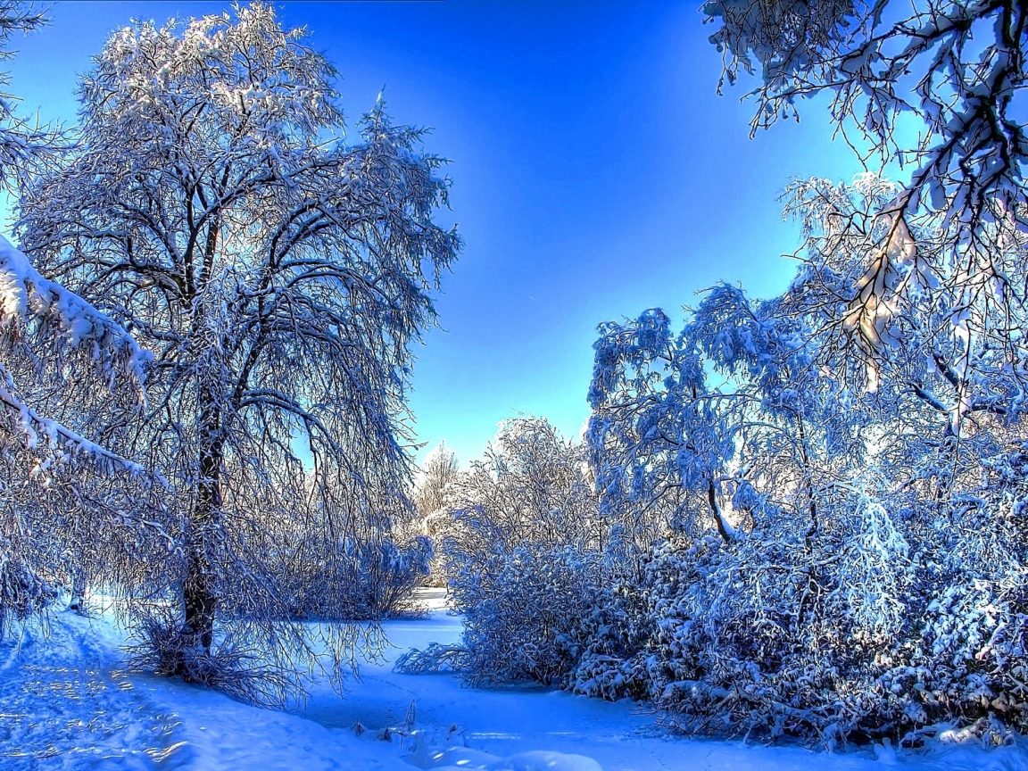 Winter Snow Landscape for 1152 x 864 resolution