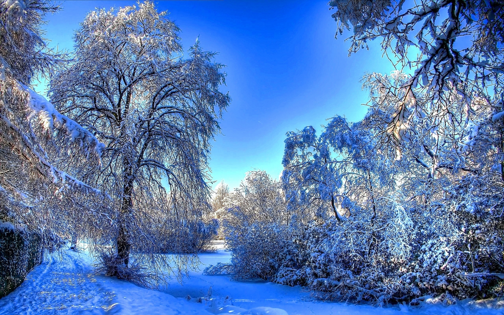 Winter Snow Landscape for 1680 x 1050 widescreen resolution