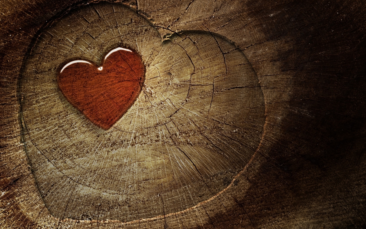 Wood Heart for 1280 x 800 widescreen resolution